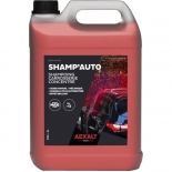 Shampoing carrosserie Shamp’Auto